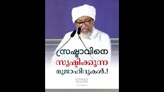 സൃഷ്ട്ടവ് നെ ശ്രെഷ്ട്ടിക്കുന്ന മുജാഹിദ് പുരോഹിതർ 👆