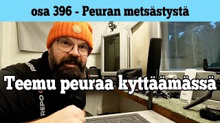 Osa 396 - Teemu peuraa kyttäämässä - 2024/2025