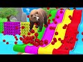 long slide game with elephant gorilla buffalo hippopotamus tiger 3d animal game funny 3d animals