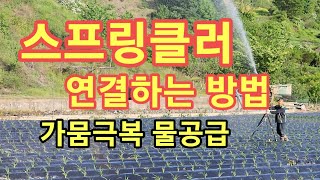 스프링클러와 관을연결 가뭄극복 옥수수밭 물퍼주기[ 스프링클러 연결하는방법]