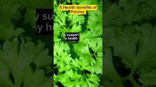 5 Health Benefits of Parsley