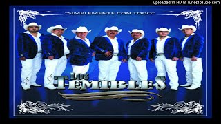 Los Temibles - El Zonzonete (2018)