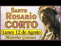 Santo Rosario CORTO de Hoy lunes 12 de agosto 2024🌺MISTERIOS GOZOSOS🌺Rosario ala Virgen SIN ANUNCIOS