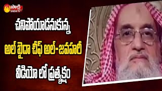 అల్ ఖైదా చీఫ్ జవహారి బ్రతికే వున్నాడు | Al Qaeda Leader Al-Zawahiri Alive | Sakshi TV