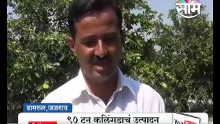 Success Story of Jalgaon Based Vinod Pardesis Watermelon Farming