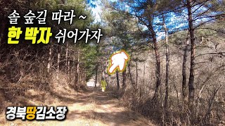 ★경북땅김소장★[매번834번] 최적의 자연인 땅 / 수비면 발리리 두번째 영상