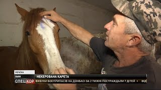 Дівчинка, що постраждала від наїзду карети із кіньми, досі у реанімації Львова