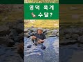 경상북도 영덕 옥계계곡 수달 해달 시각장애인유튜버 김일근