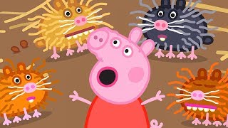 Peppa Pig en Español Episodios | Criaturas Pequeñas | Pepa la cerdita