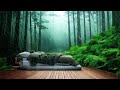 Songs to Listen to When It Rains, Sleep Music