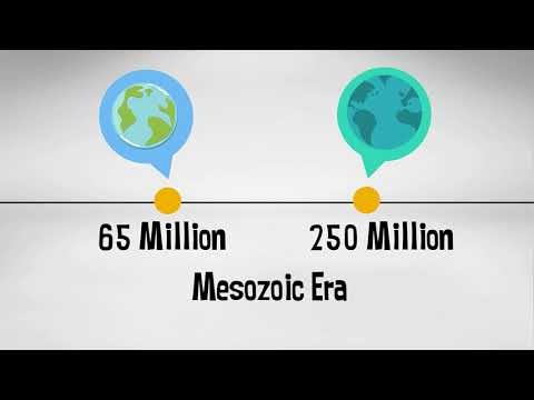 Which geologic event occurred during the Mesozoic Era quizlet?