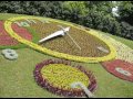 Tsunenori - Floral Clock