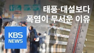 벌써 11명 사망…‘폭염’ 뒤늦은 재난 지정 추진 / KBS뉴스(News)