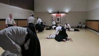 Aikido Nidan Test 2019 - Mike Flynn