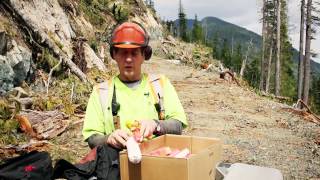 Danger Tree Blasting - Below Road Right of Way