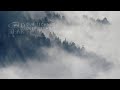 24/7 Dub Techno, Deep Techno, Minimal | Cold Tear Records Radio