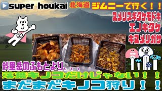 【ジムニーで行く！！】113キノコ🍄斜里岳のふもとより、、、