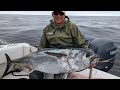 Jigging for Bluefin Tuna | Hogy Sand Eel Jigs