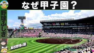 高校野球のタブー！？甲子園で開催される理由【ゆっくり解説】