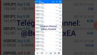 Live Trading Best Forex EA  ( Scalping Robot )  |  Today Results $202,640