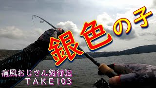 【芦ノ湖】銀色の元気な魚が釣れたんじゃ(痛風おじさん釣行記take103)