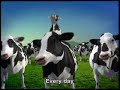 happy cows vinamilk 100% fresh milk