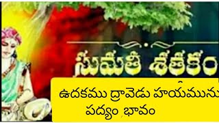 ఉదకము ద్రావెడు హయమును...పద్యం, భావం||Sumathi satakam||@PVVSongs