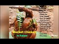 കലത്തില്‍ ഒരു bucket chicken in 30mins 😋