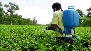 ASPEE BAKPAK  BLUE PESTICIDE SPRAYER DEMO TEA GARDEN