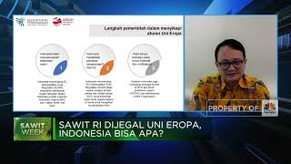 Tegas! Ini Cara RI Lawan Diskriminasi Sawit Oleh Uni Eropa