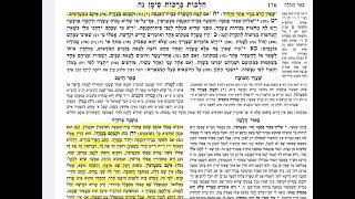 Siman 55 Sif 17-20 Clear \u0026 Concise Dirshu Mishnah Berurah