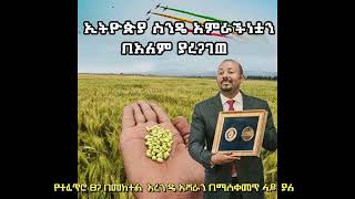 ኢትዮጵያ ስንዴ አምራችነቷን በአለም ያረጋገጠ#ዐብይ_አህመድ #ከእዳ_ወደ_ምንዳ #መከላከያችን_መከታች