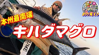 本州最南端で【キハダマグロ】初心者の方でも分かる