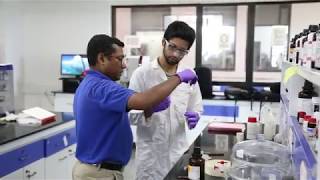 Targeting Cancer Cells | Prof. Sudipta Basu | Research Stories