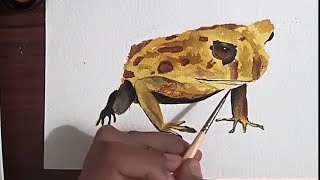 How To Paint A Frog with watercolors step by step!