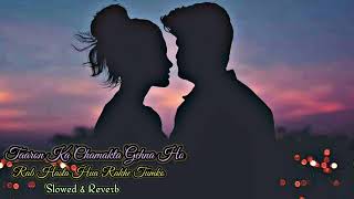 Taaron Ka Chamakta Gehna Ho | Slowed & Reverb | Hum Tumhare Hain Sanam | Lofi Song | Romantic Songs