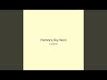 Harmony Sky Neon