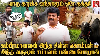 சீறிப்பாயும் VijayaBaskar வீட்டு காளைகள்🔥என் காளையை எவனாலும் தொட முடியாது🐂 VijayaBaskar | Jallikattu