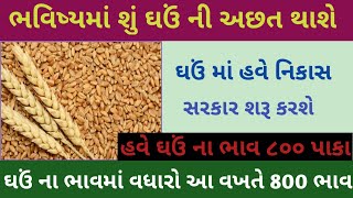 ઘઉં ની બજાર વધશે | ghav na bhav | live ઘઉં ના ભાવ | live wheat trading in APMC | ઘઉં ના ભાવ:2023 🌾🌾