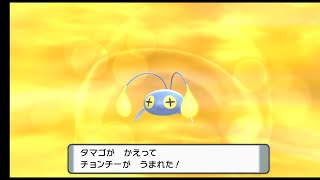 【ダイパリメイク】お金稼ぎ雑談しながら初代ポケモン抽選【金の王冠、パッチ、ミントなどがもらえるかも！？】