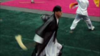 Wudang fuchen.avi 2010