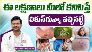 చికున్‌గున్యా లక్షణాలు || Symptoms of Chikungunya in Telugu || Chikungunya Prevention | One Hospital