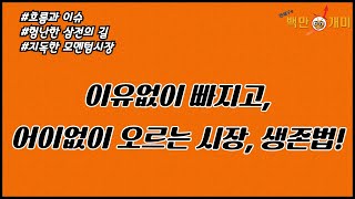 [11월 20일/수] 이유없이 빠지고, 어이없이 오르는 시장, 생존법!(#흐름과이슈#험난한삼성전자#지독한모멘텀시장)