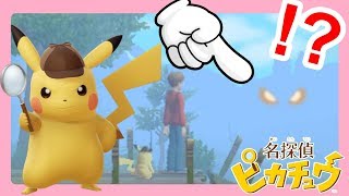 ポケモンが危ない！湖の異変とは？#10【名探偵ピカチュウ】