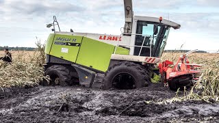 HARVESTER IN MUD | XXL SILAGE in FRANCE with 2x Quadtrac \u0026 1x Versatile \u0026 Twin Wheels Jaguar 890 🇫