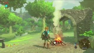 Legend of Zelda: Breath of the Wild Cooking!