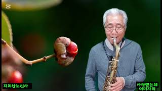 사랑했는데/이미자 외  saxophone 🎷 tenor 연주 지리산노신사