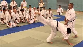 Nariyama Shihan