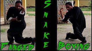 Kung Fu Snake Style - Snake Form | Snake Fist - Snake Style Strike |Kung Fu Combo - Snake Boxing🐍