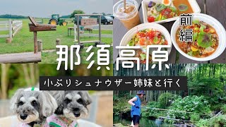 小ぶりシュナウザー姉妹と行く那須高原＜前編＞旅するWEBディレクター